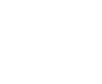 VP